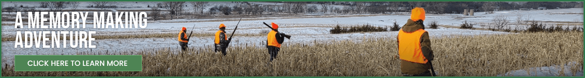 Come Experience Bird Hunting Like No Other