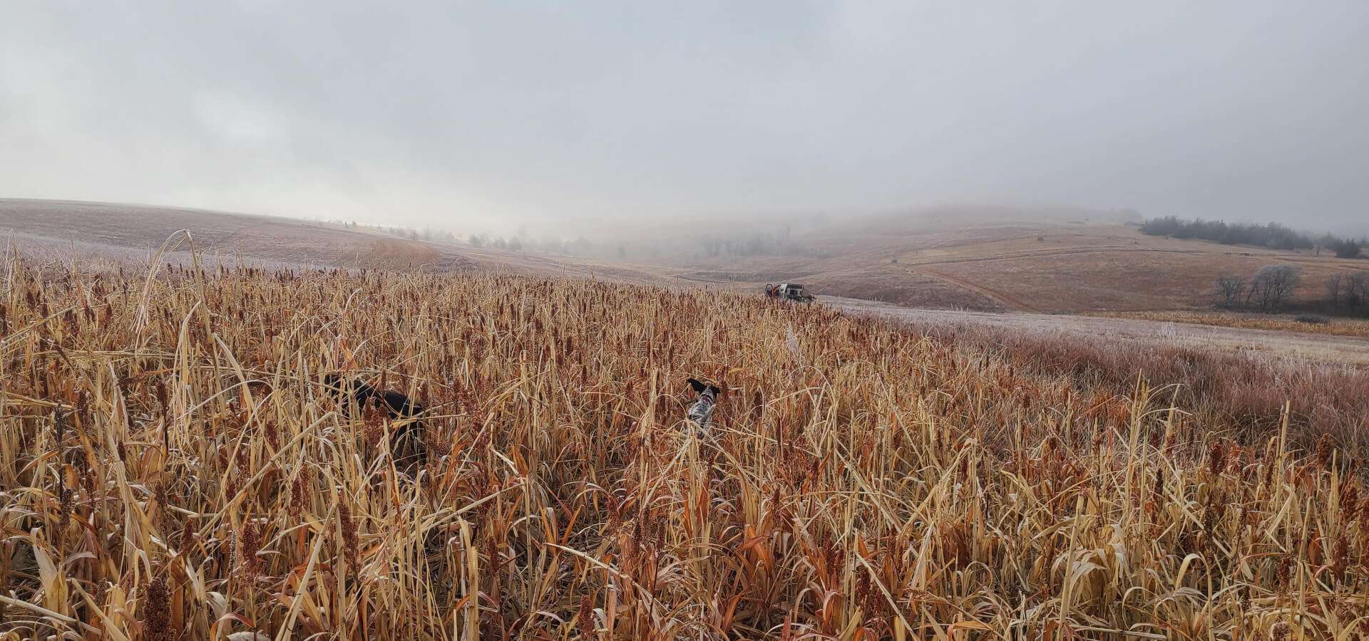 Spearpoint Ranch Photo Gallery