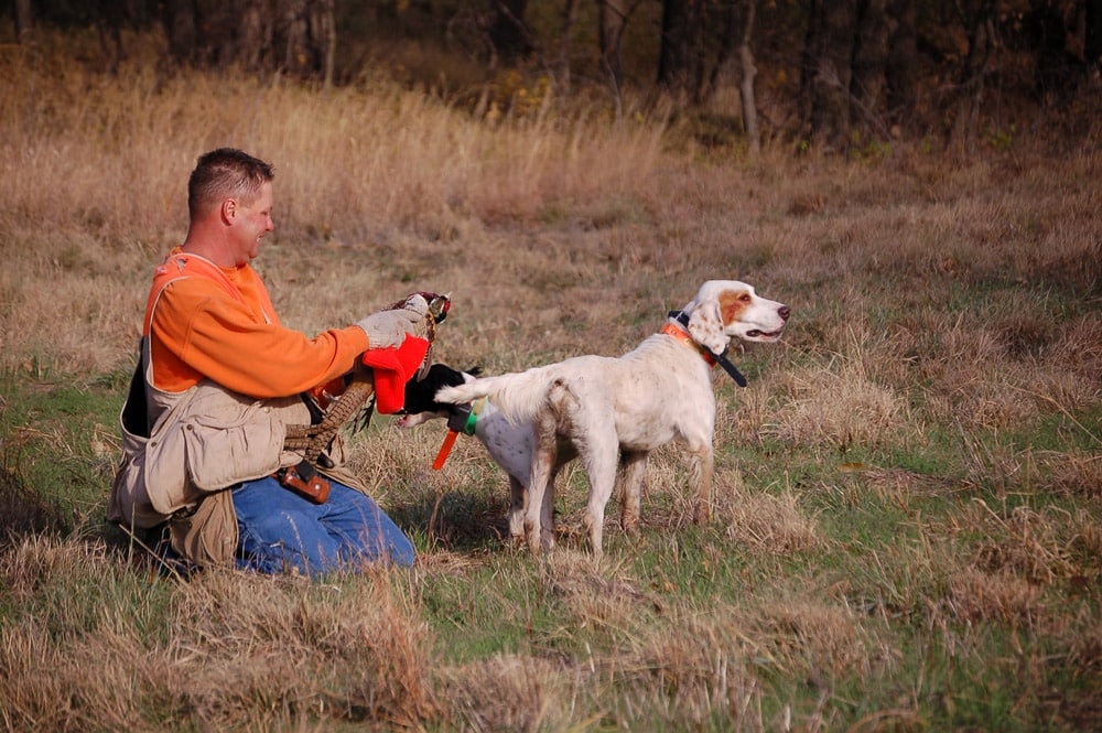 Spearpoint Ranch Dog Policy Spearpoint Ranch Dog Policy