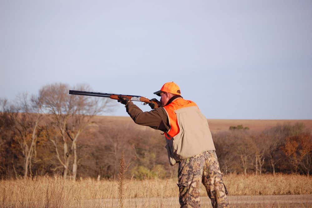 Pheasant Hunting Packages